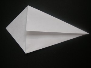 Fold 2 corners in to the middle.