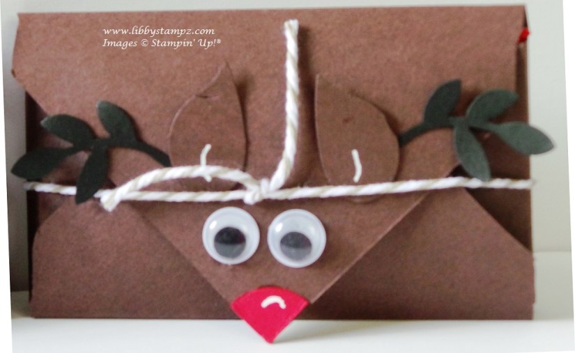 reindeer poop close-up