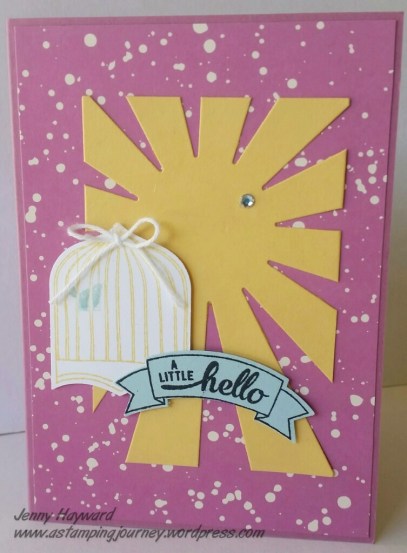 Sunburst challenge for FMS