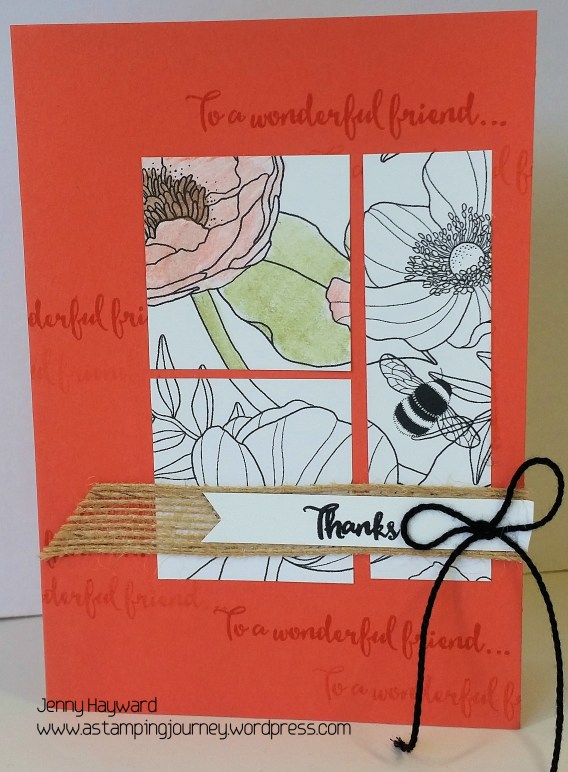 inside-the-lines-dsp