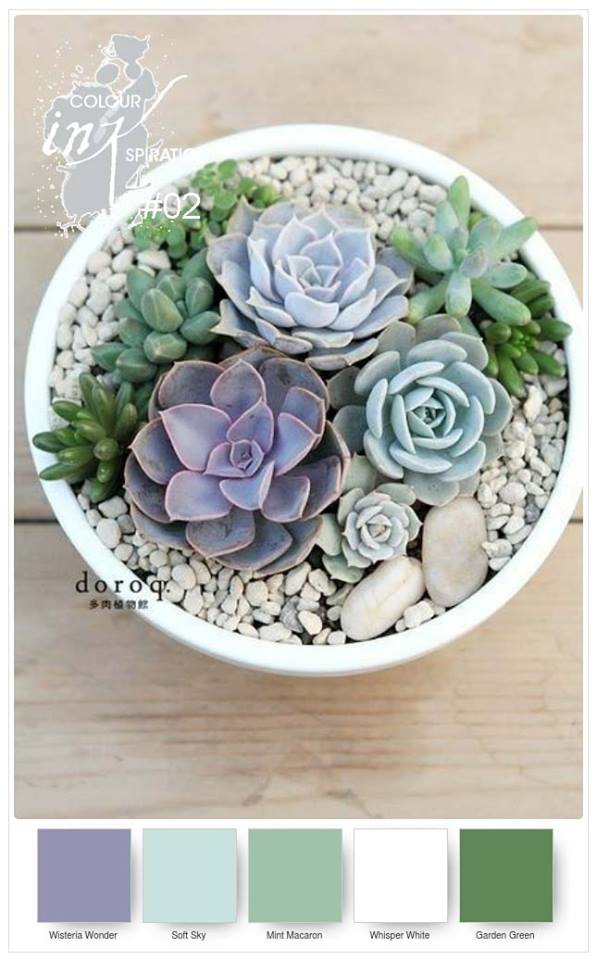 colour-inkspiration-_2