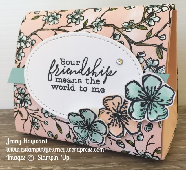 Bird Ballad Tent Box