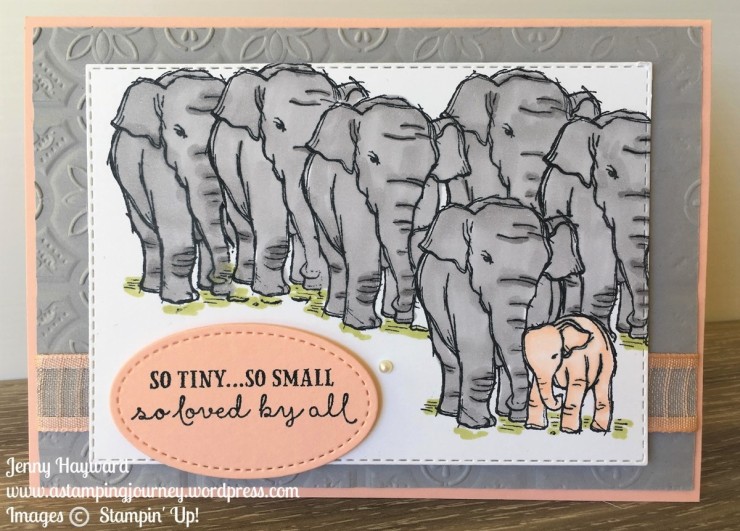 Wildly Happy _ Elephant Herd